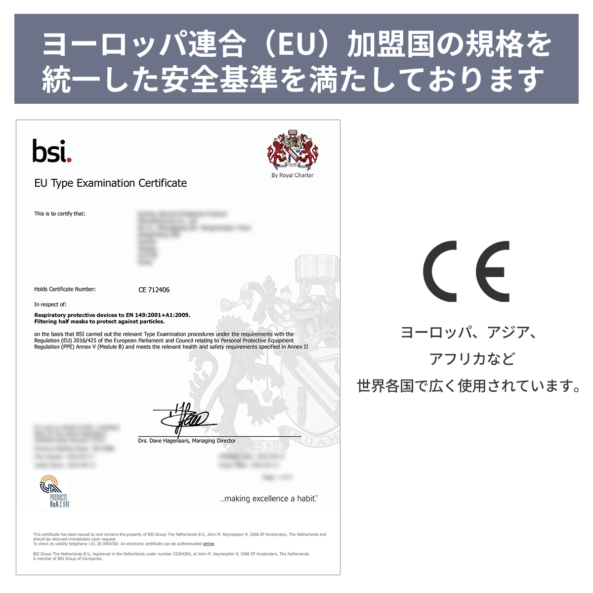  RABLISS N95 マスク カップ型 20枚入