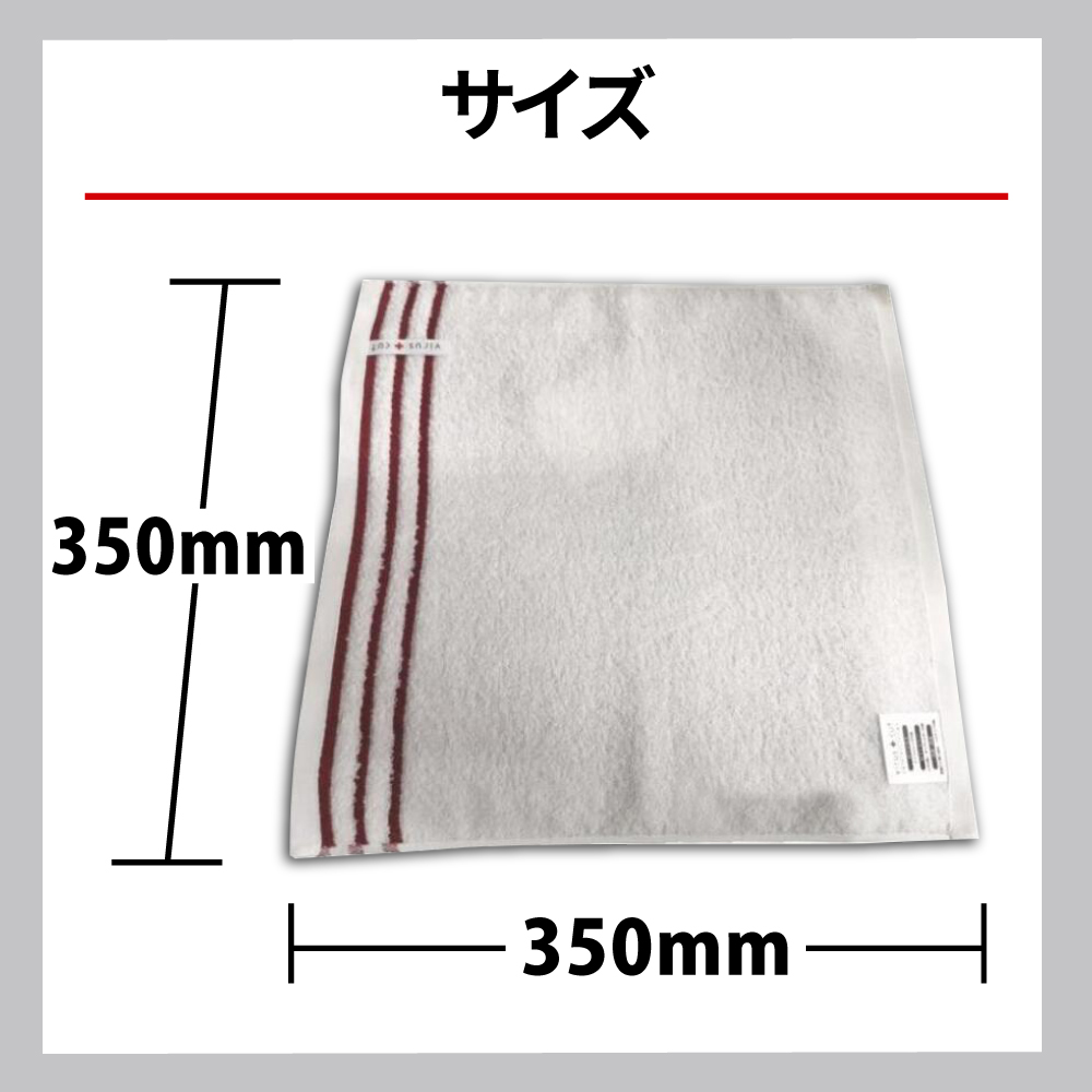 日本製 抗ウイルスタオル（ナノテクノロジー特殊加工）