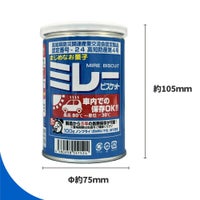 5年保存 車載用ミレービスケット保存用100g 単品サイズ