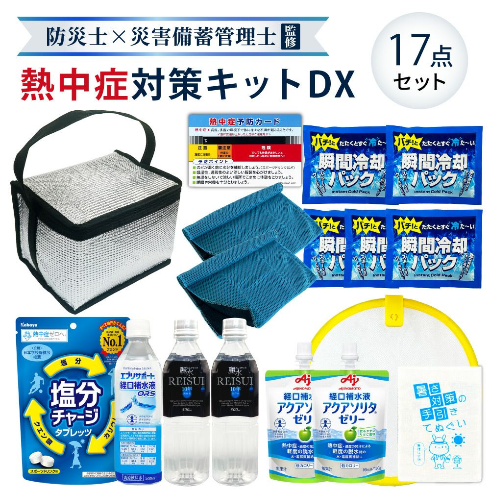 応急セットで塩分補給防災グッズ 熱中症対策キットDX シルバー
